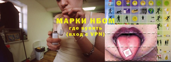 шишки Арсеньев