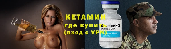 шишки Арсеньев