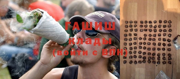 шишки Арсеньев