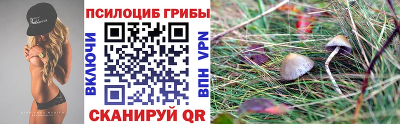 Галлюциногенные грибы MAGIC MUSHROOMS  Малая Вишера 